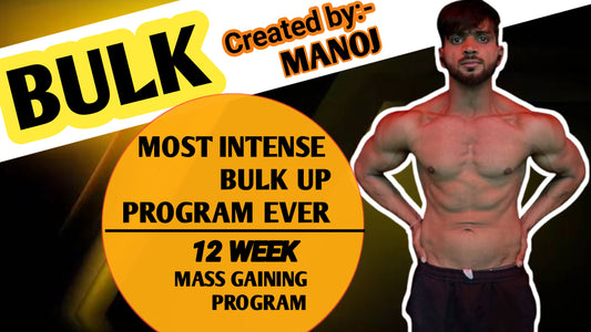 BULK WORKOUT AND NUTRITION PLAN